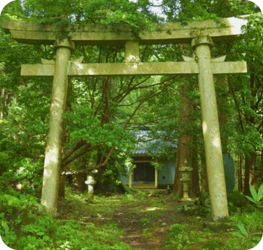 森の神社の鳥居