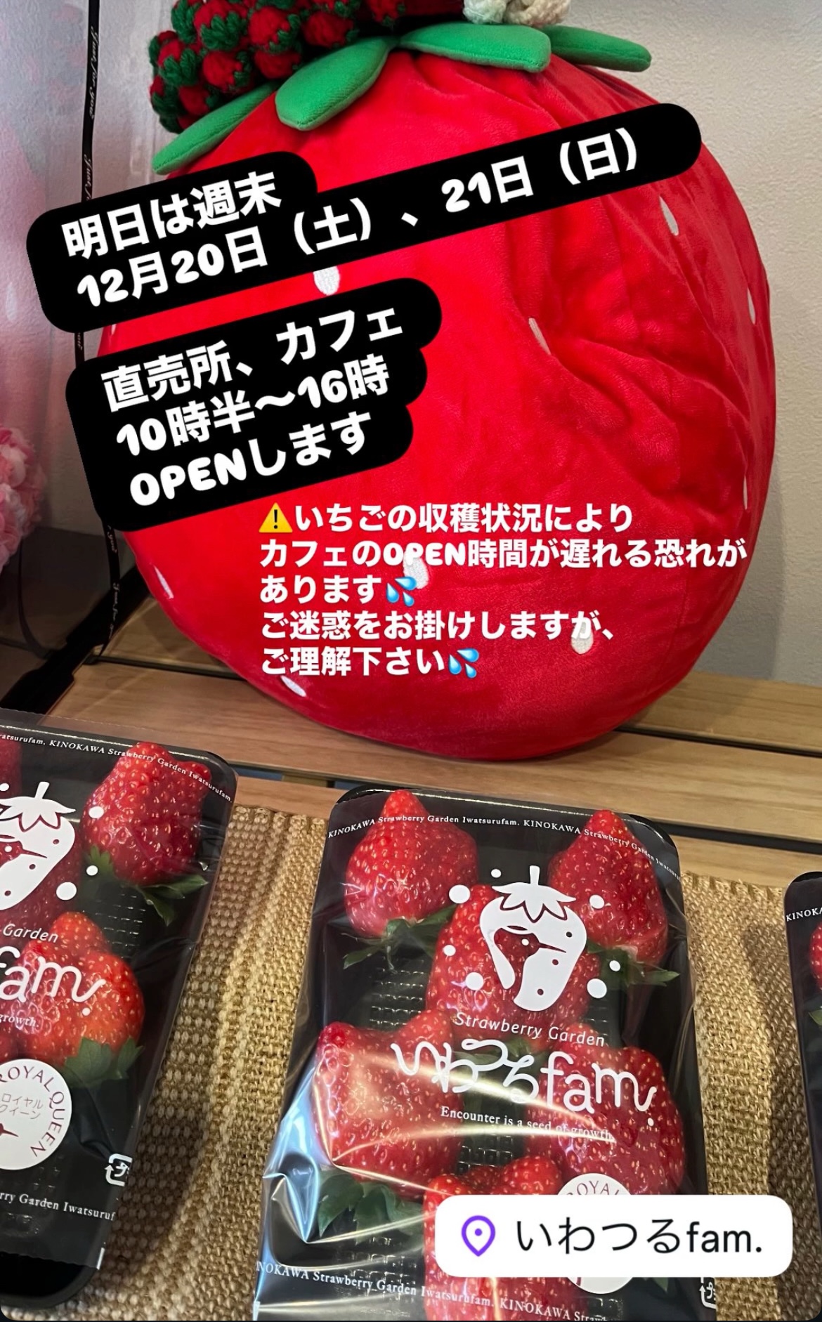 今だけいろんな種類の🍓並んでます - いちご狩り観光農園