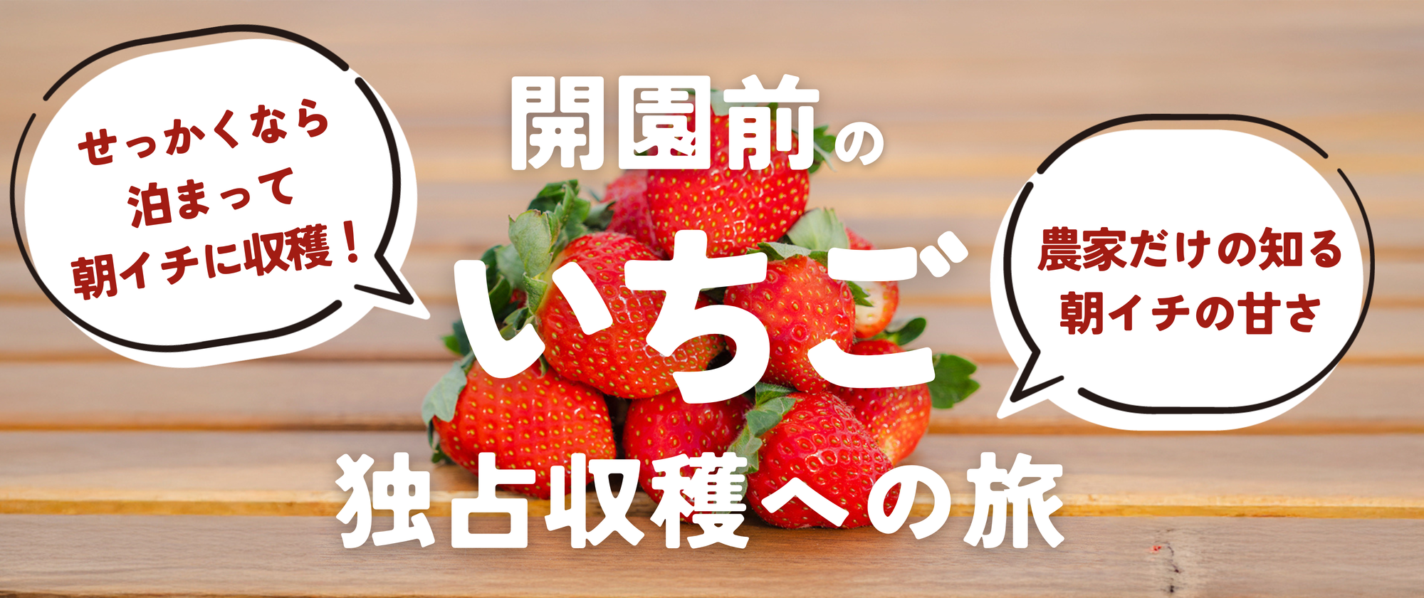 農家だけの知る朝イチの甘さ　泊まって味わう12品種独占収穫